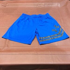 Under Armour Royal Blue Athletic Shorts with Gray Logo